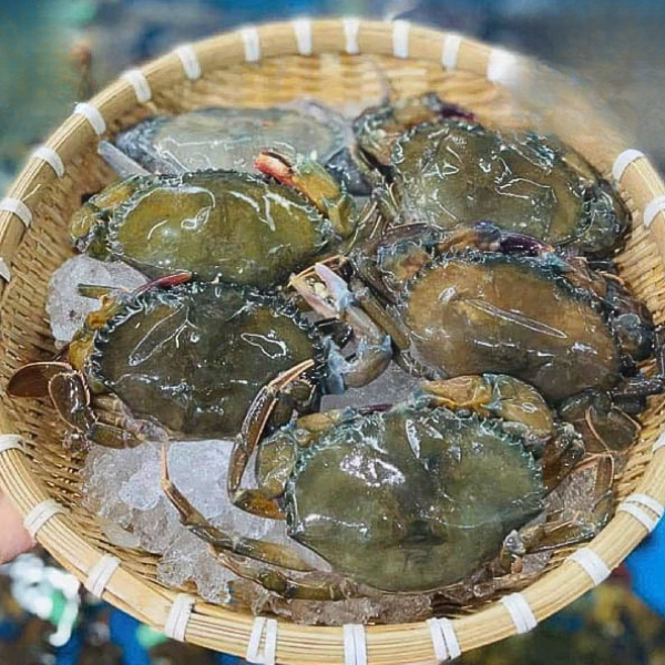 Cua cốm giá sỉ
