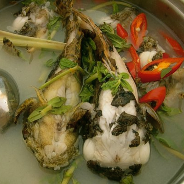 Cá mặt quỷ giá sỉ 