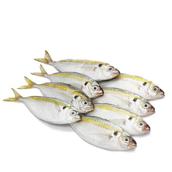 Khô cá chỉ vàng giá sỉ
