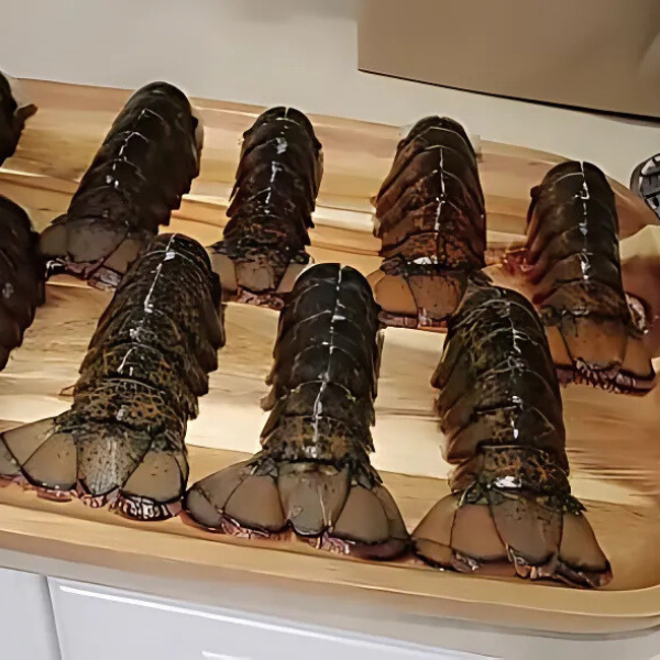 Thân tôm hùm Mỹ chất lượng