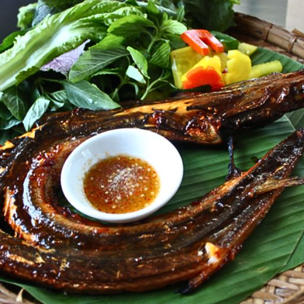 Cá nhái giá sỉ 